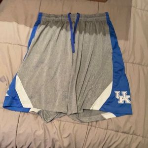 Kentucky wildcat shorts